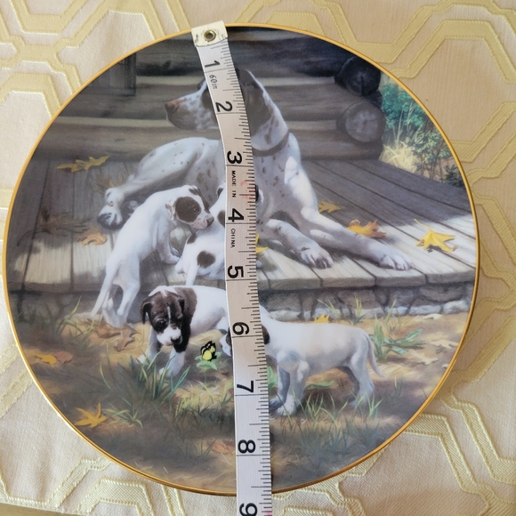 Bundle of 2 decorative collector dog plates - Pointer and Lab - Picture 3 of 8
